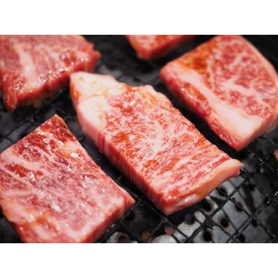 【毎月定期便】訳あり!艶さし!佐賀牛焼肉切り落とし(肩ロース・バラ)　500g(吉野ヶ里町)全3回