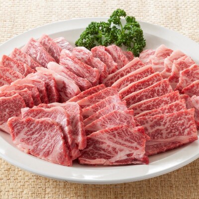 【毎月定期便】訳あり!艶さし!佐賀牛焼肉切り落とし(肩ロース・バラ)　500g(吉野ヶ里町)全3回