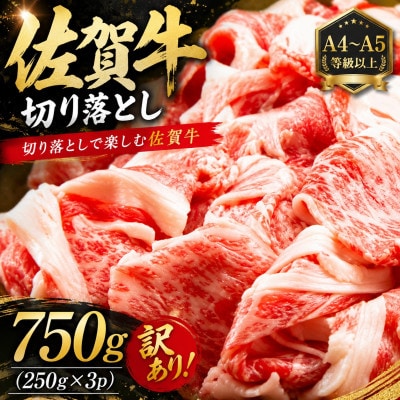 【毎月定期便】艶さし!【A4～A5】訳あり!佐賀牛切り落とし　750g(吉野ヶ里町)全3回