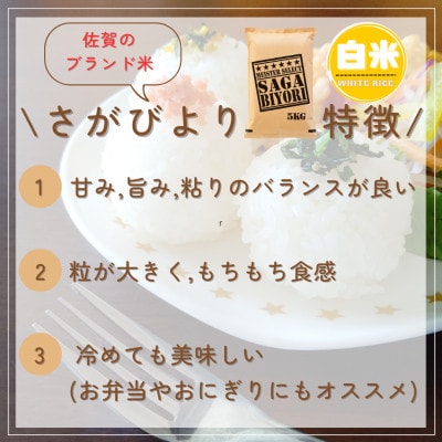令和6年産『さがびより白米5kg』五つ星お米マイスター厳選!(吉野ヶ里町)