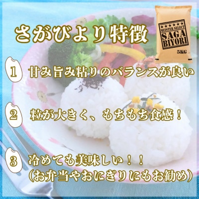 令和7年産『さがびより白米5kg』五つ星お米マイスター厳選!(吉野ヶ里町)