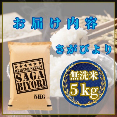 令和7年産【無洗米さがびより5kg】五つ星お米マイスター厳選!(吉野ヶ里町)