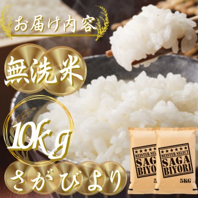 令和7年産【無洗米】さがびより10kg(5kg×2袋)五つ星お米マイスター厳選!(吉野ヶ里町)