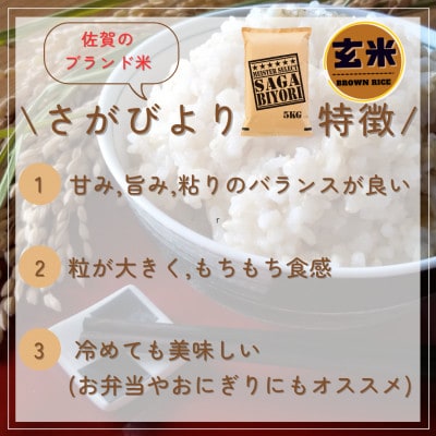 令和6年産【玄米さがびより5kg】五つ星お米マイスター厳選!(吉野ヶ里町)