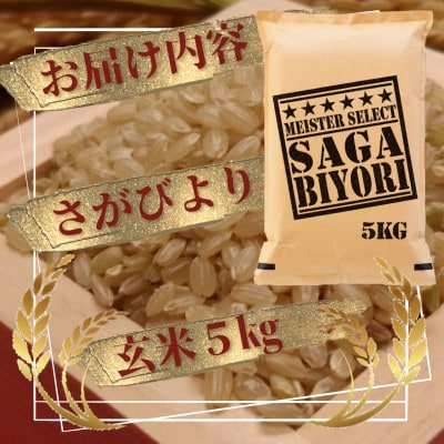 令和6年産【玄米さがびより5kg】五つ星お米マイスター厳選!(吉野ヶ里町)