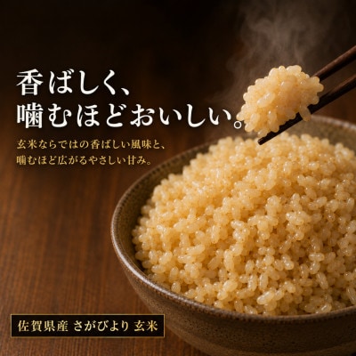 令和7年産【玄米】さがびより10kg(5kg×2袋)五つ星お米マイスター厳選!(吉野ヶ里町)
