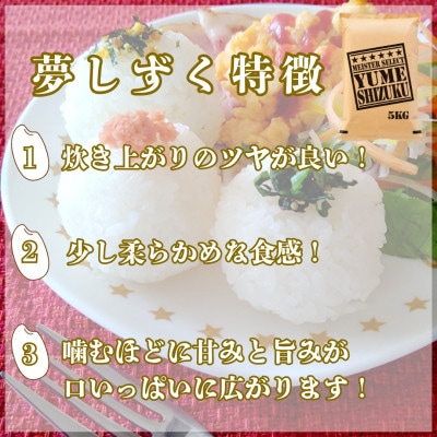 令和7年産【無洗米】夢しずく 5kg五つ星お米マイスター厳選!(吉野ヶ里町)