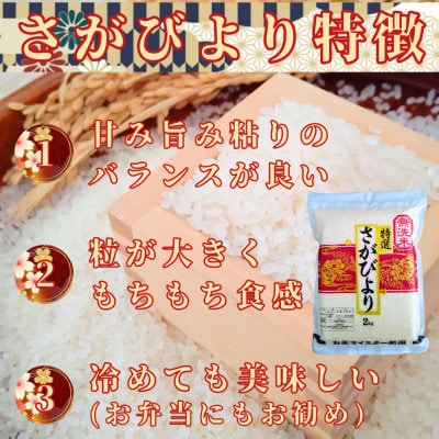 令和6年産【無洗米】(真空パックさがびより・夢しずく各2kg)食べ比べ!五つ星お米マイスター厳選