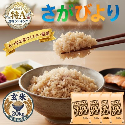 令和7年産【玄米】さがびより20kg(5kg×4袋)五つ星お米マイスター厳選!(吉野ヶ里町)