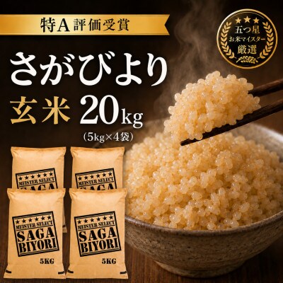 令和7年産【玄米】さがびより20kg(5kg×4袋)五つ星お米マイスター厳選!(吉野ヶ里町)