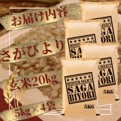 令和6年産【玄米】さがびより20kg(5kg×4袋)五つ星お米マイスター厳選!(吉野ヶ里町)