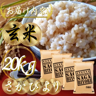 令和7年産【玄米】さがびより20kg(5kg×4袋)五つ星お米マイスター厳選!(吉野ヶ里町)