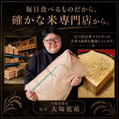 令和7年産【玄米】さがびより20kg(5kg×4袋)五つ星お米マイスター厳選!(吉野ヶ里町)