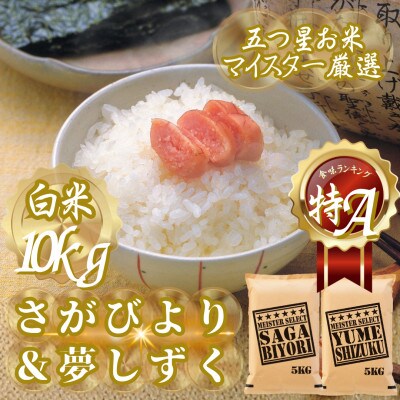 令和7年産『さがびより白米5kg』『夢しずく白米5kg』(計10kg)五つ星お米マイスター厳選!