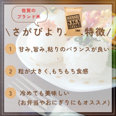 令和6年産『さがびより白米5kg』『夢しずく白米5kg』(計10kg)五つ星お米マイスター厳選!