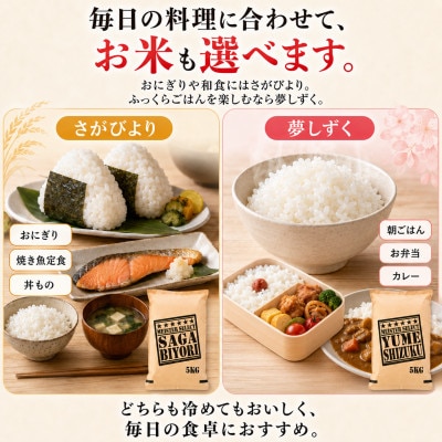 令和7年産『さがびより白米5kg』『夢しずく白米5kg』(計10kg)五つ星お米マイスター厳選!