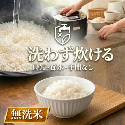 令和7年産【無洗米】『さがびより5kg』『夢しずく5kg』(計10kg)五つ星お米マイスター厳選