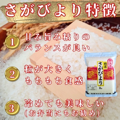 令和6年産【無洗米】さがびより2kg×4袋(真空パック)五つ星お米マイスター厳選!(吉野ヶ里町)