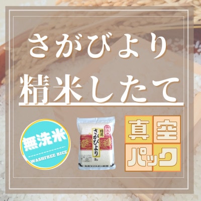 令和6年産【無洗米】さがびより2kg×4袋(真空パック)五つ星お米マイスター厳選!(吉野ヶ里町)