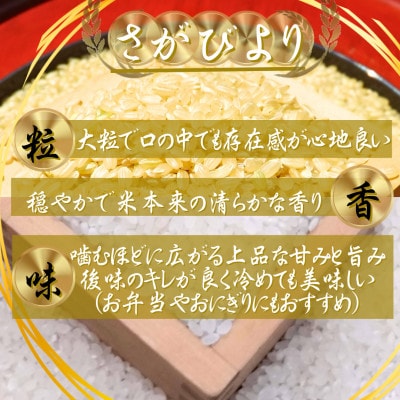 令和7年産　特A『さがびより』玄米5kg・白米5kg(計10kg)(吉野ヶ里町)