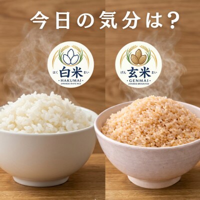 令和7年産　特A『さがびより』玄米5kg・白米5kg(計10kg)(吉野ヶ里町)