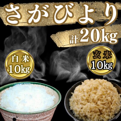 令和6年産　特A『さがびより』玄米10kg・白米10kg(計20kg)(吉野ヶ里町)