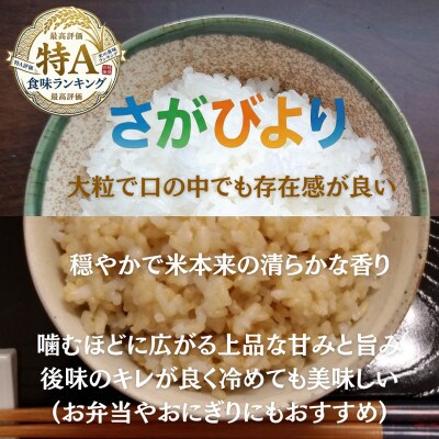 令和7年産　特A『さがびより』玄米10kg・白米10kg(計20kg)(吉野ヶ里町)