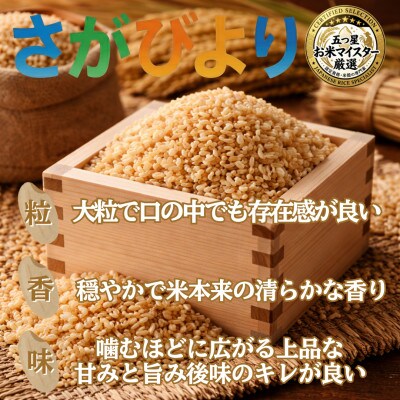 令和7年産【玄米さがびより9kg】五つ星お米マイスター厳選!(吉野ヶ里町)