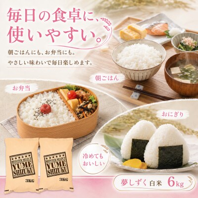 令和7年産夢しずく白米 6kg(3kg×2袋)五つ星お米マイスター厳選!(吉野ヶ里町)