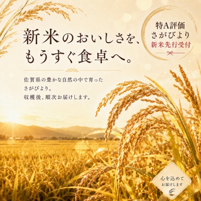 【新米】令和8年産【白米】さがびより 10kg(5kg×2袋)【先行受付】(吉野ヶ里町)