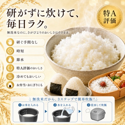 【新米】令和8年産【無洗米】さがびより 10kg(5kg×2袋)【先行受付】(吉野ヶ里町)