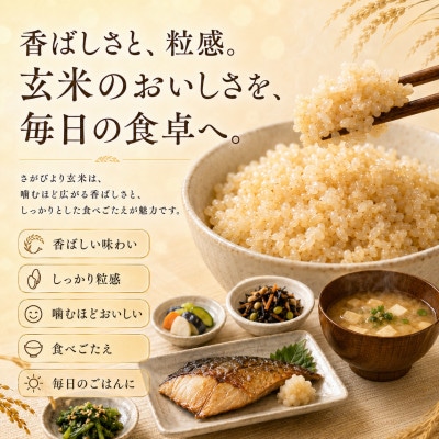 【新米】令和8年産【玄米】さがびより 10kg(5kg×2袋)【先行受付】(吉野ヶ里町)