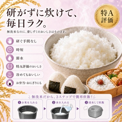 【新米】令和8年産【無洗米】夢しずく 10kg(5kg×2袋)【先行受付】(吉野ヶ里町)