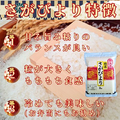 【毎月定期便】【無洗米】さがびより2kg×3(真空パック)五つ星お米マイスター厳選!全6回