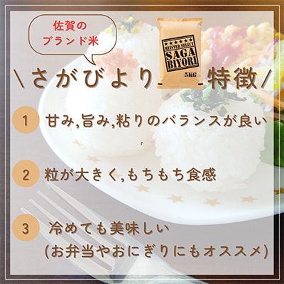 【毎月定期便】五つ星お米マイスター厳選!さがびより白米5kg(吉野ヶ里町)全5回