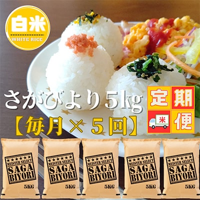 【毎月定期便】五つ星お米マイスター厳選!さがびより白米5kg(吉野ヶ里町)全5回