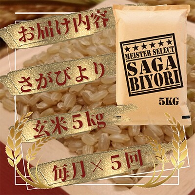 【毎月定期便】【玄米】さがびより5kg(五つ星お米マイスター厳選!)(吉野ヶ里町)全5回