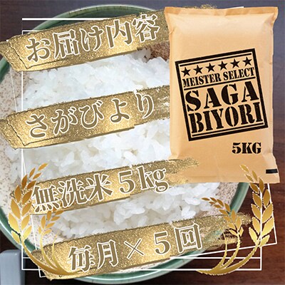【毎月定期便】【無洗米】さがびより5kg(五つ星お米マイスター厳選!)(吉野ヶ里町)全5回