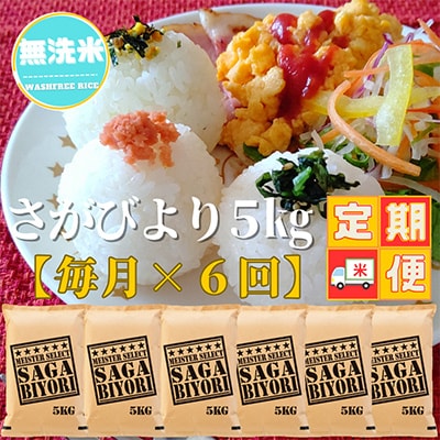 【毎月定期便】【無洗米】さがびより5kg(五つ星お米マイスター厳選!)(吉野ヶ里町)全6回