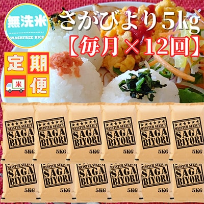 【毎月定期便】【無洗米】さがびより5kg(五つ星お米マイスター厳選!)(吉野ヶ里町)全12回