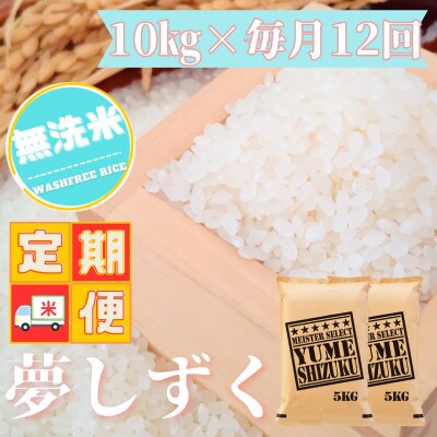 【毎月定期便】【無洗米】夢しずく 10kg(5kg×2袋)五つ星お米マイスター厳選!全12回