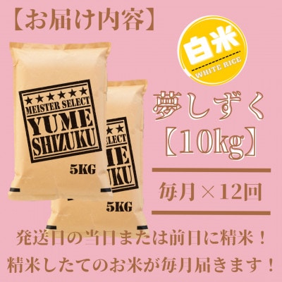 【毎月定期便】夢しずく白米 10kg(5kg×2袋)五つ星お米マイスター厳選!(吉野ヶ里町)全12回