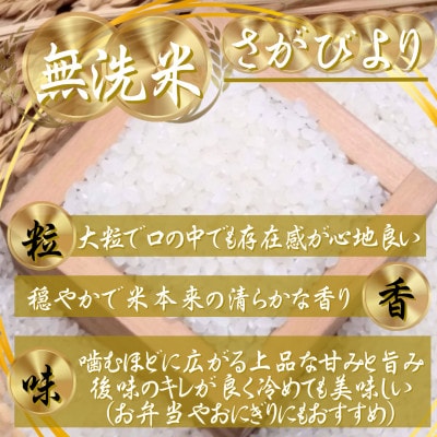【毎月定期便】【無洗米】さがびより3kg(吉野ヶ里町)全6回