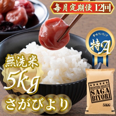 【毎月定期便】【無洗米さがびより5kg】(吉野ヶ里町)全12回