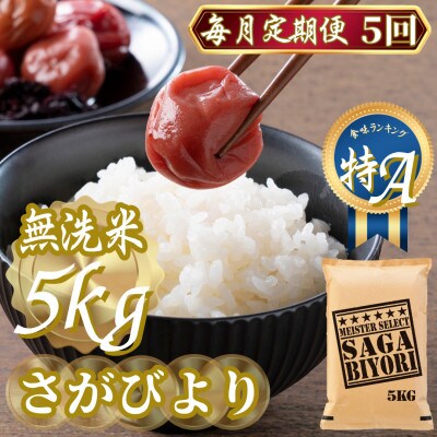 【毎月定期便】【無洗米さがびより5kg】(吉野ヶ里町)全5回