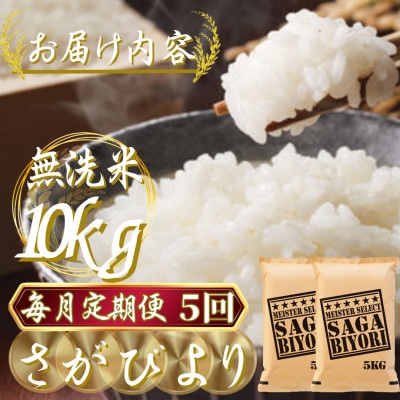 【毎月定期便】【無洗米】さがびより10kg(5kg×2袋)(吉野ヶ里町)全5回