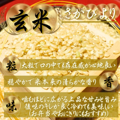 【毎月定期便】【玄米さがびより5kg】(吉野ヶ里町)全5回