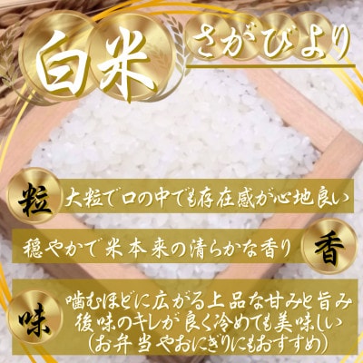 【毎月定期便】『さがびより』白米6kg(3kg×2袋)(吉野ヶ里町)全10回