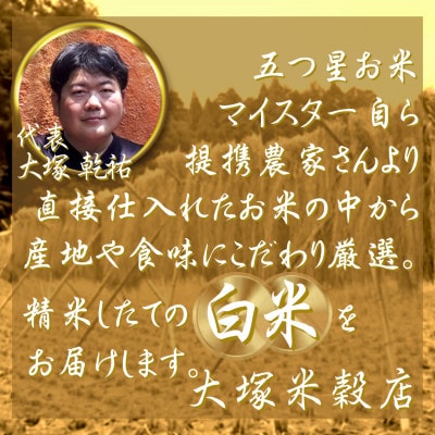 【2ヵ月毎定期便】『夢しずく白米 10kg』(5kg×2袋)(吉野ヶ里町)全2回