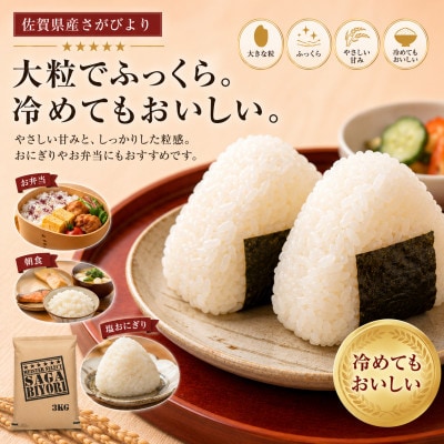 【毎月定期便】【無洗米】さがびより3kg(吉野ヶ里町)全3回